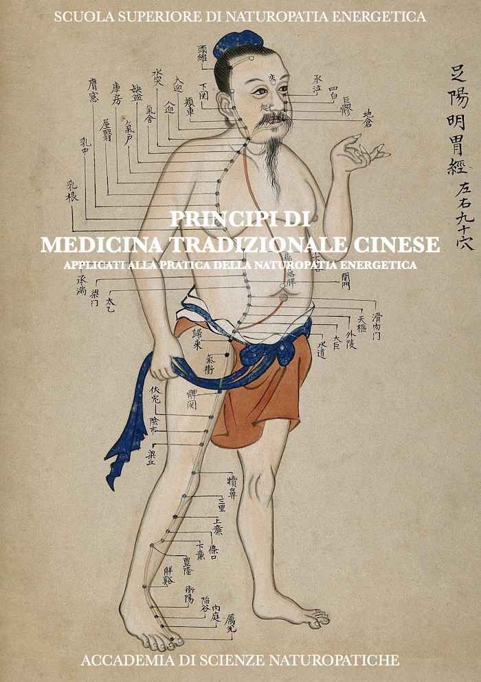 Principi di medicina tradizionale cinese