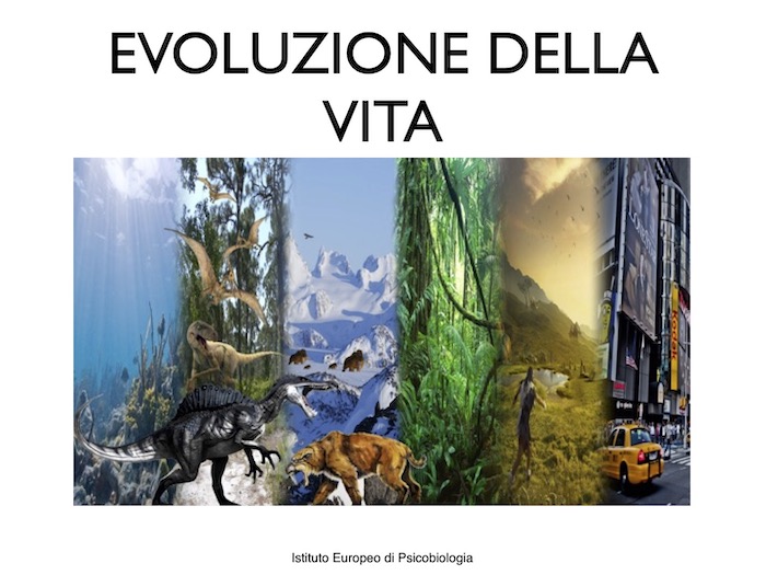 Evoluzione della vita