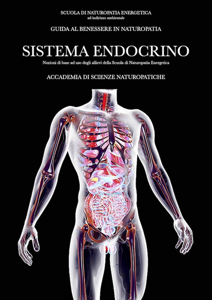 Naturopatia e Sistema endocrino