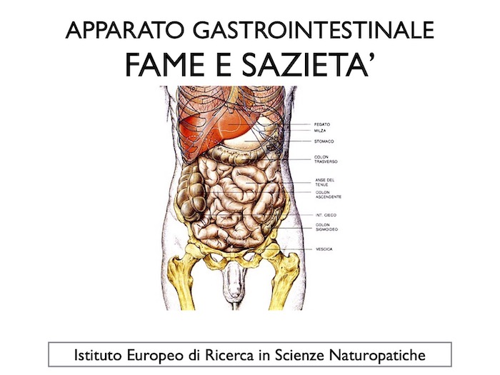 fame e sazietà in naturopatia