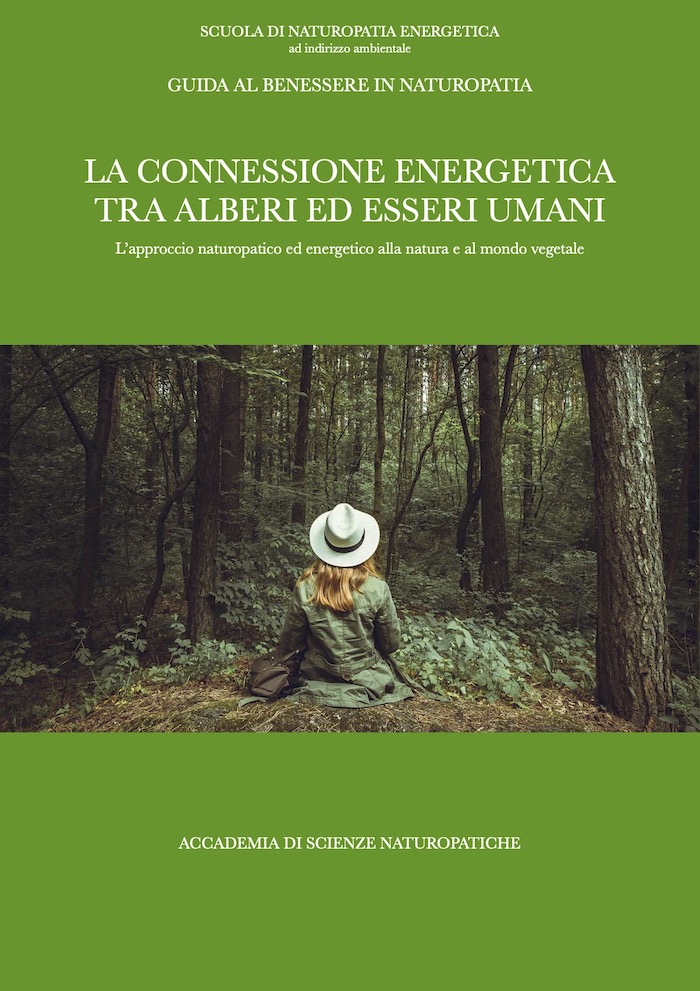 La connessione energetica tra alberi ed esseri umani